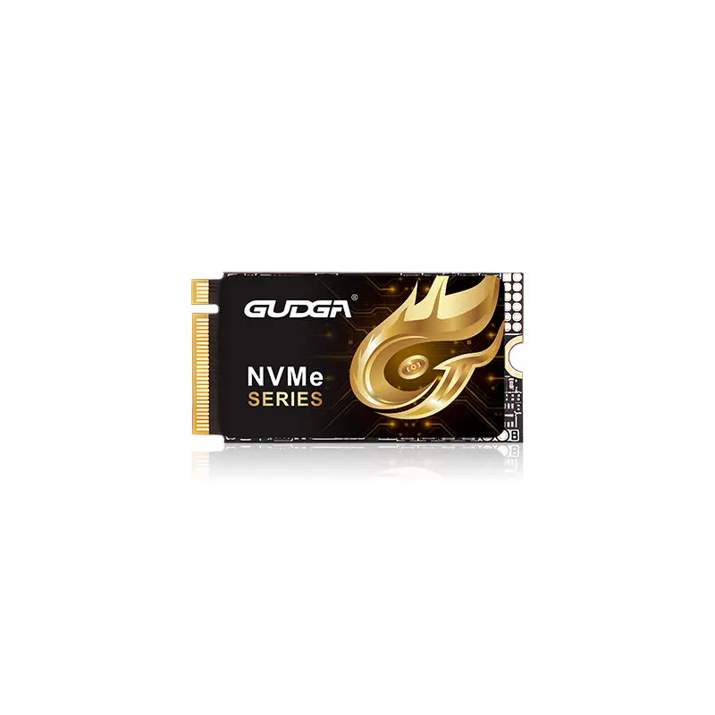 2242 Pikkus PCIE 4.0 NVMe SSD 7000MB/s